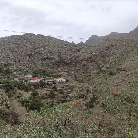 Tenerife 圣克鲁斯-德特内里费 外观 照片