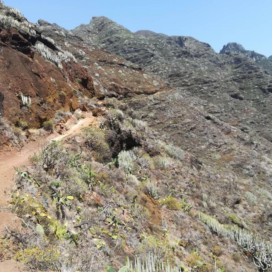 Tenerife 圣克鲁斯-德特内里费 外观 照片