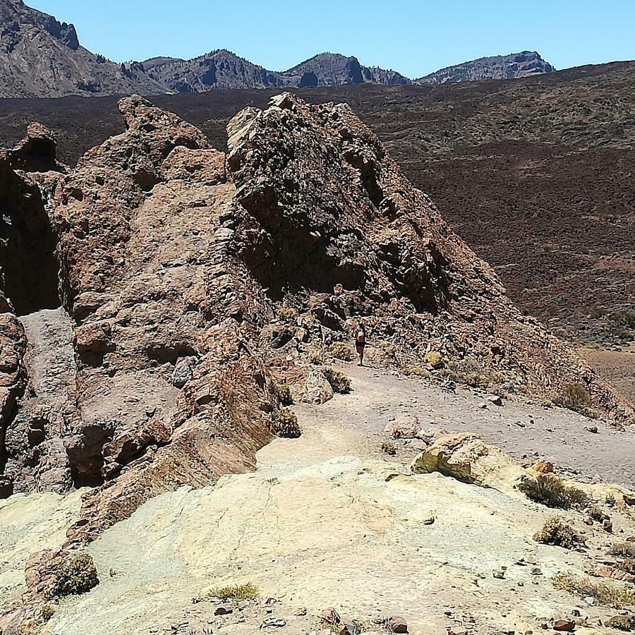 Tenerife 圣克鲁斯-德特内里费 外观 照片