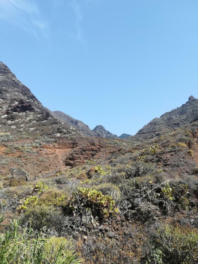 Tenerife 圣克鲁斯-德特内里费 外观 照片