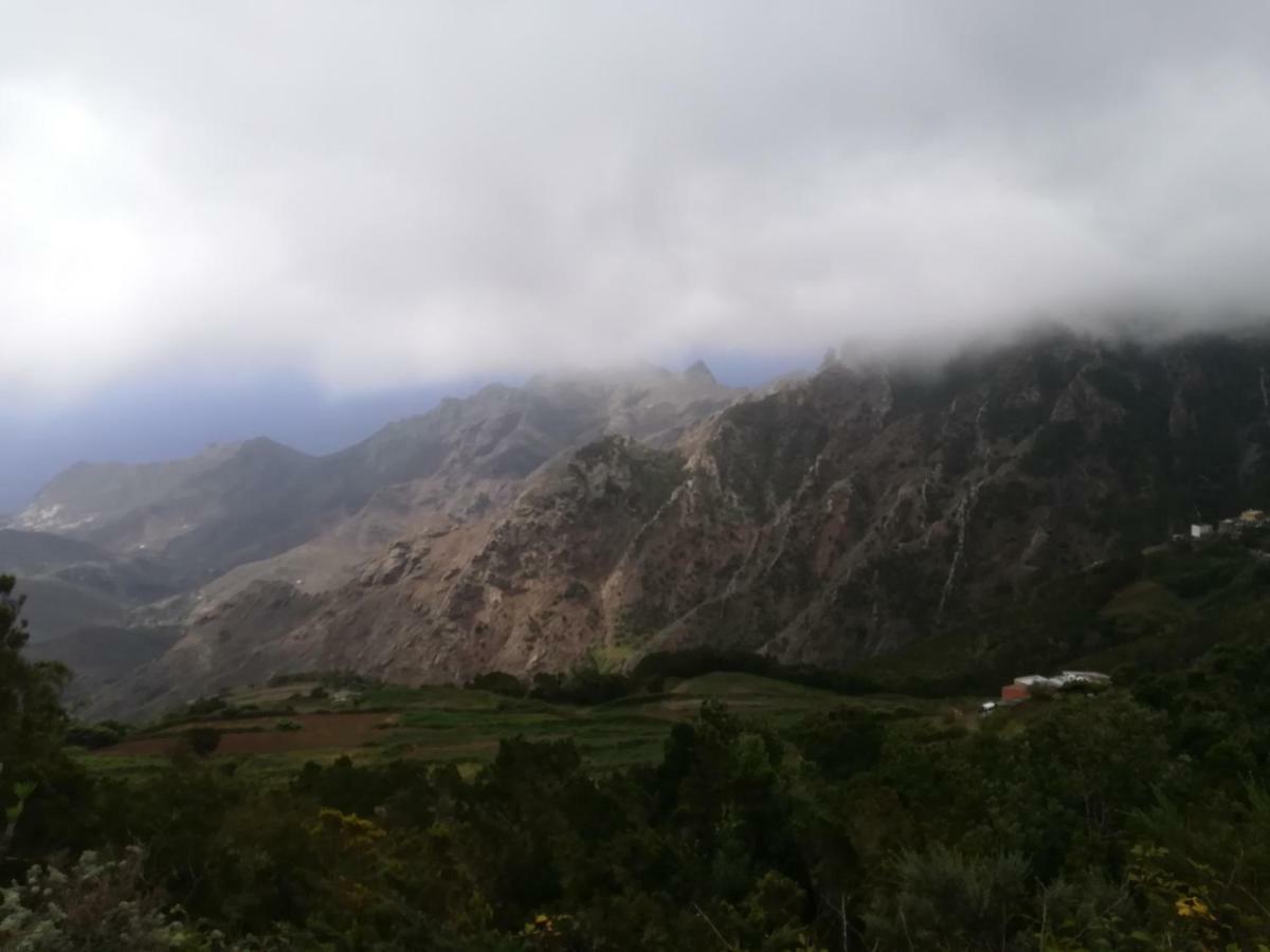 Tenerife 圣克鲁斯-德特内里费 外观 照片