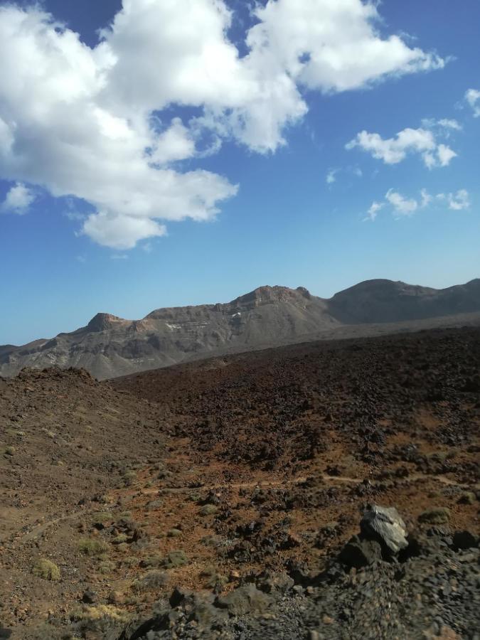 Tenerife 圣克鲁斯-德特内里费 外观 照片